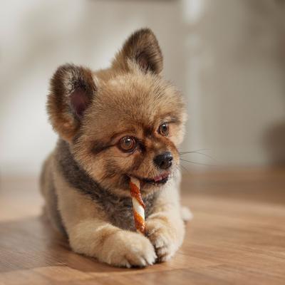 Show full view: Canine's Choice DogLicious Chicken & Pork Wrapped Twist Rawhide Sticks Dog Treats, 10 count slide 5 of 6