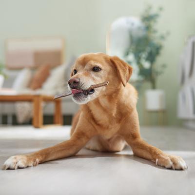 Show full view: Canine's Choice DogLicious Munchy Flat Chews Dog Treats, 50 count slide 5 of 7