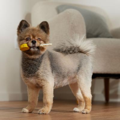 Show full view: Canine's Choice DogLicious Munchy Lollipop Rawhide Dog Treats, 4 count slide 5 of 7