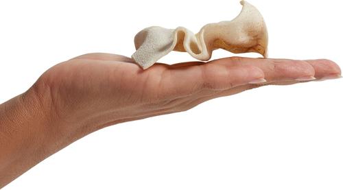 Show full view: Canine's Choice DogLicious Natural Rawhide Chips Dog Treats, 3-oz bag slide 4 of 6