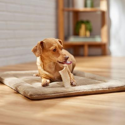 Show full view: Canine's Choice DogLicious Natural Rawhide Chips Dog Treats, 3-oz bag slide 5 of 6