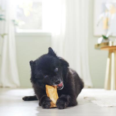 Show full view: Canine's Choice DogLicious Peanut Butter Chips Rawhide Dog Treats, 3-oz bag slide 5 of 6