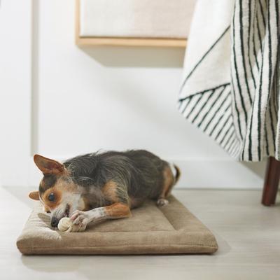 Show full view: Canine's Choice DogLicious Rawhide Mini-Bones Dog Treats, 12 count slide 5 of 6