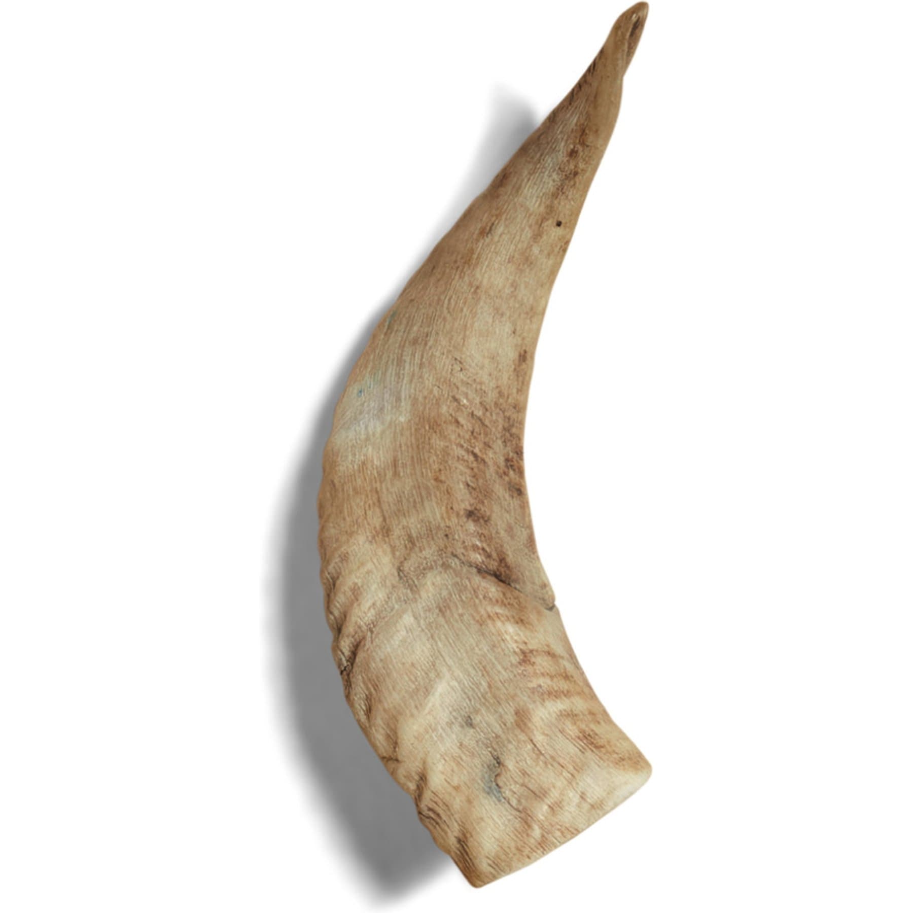 Canophera Sheep Horn Large Natural Dog Chew