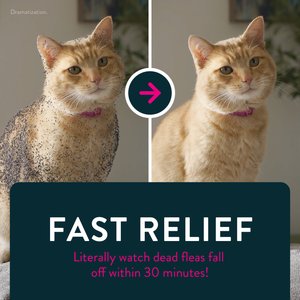 Capstar Flea Oral Treatment for Cats, 2-25 lbs, 6 Tablets