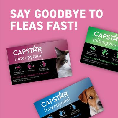 Show full view: Capstar Flea Oral Treatment for Cats, 2-25 lbs, 6 Tablets slide 9 of 14