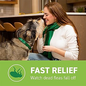 Capstar Flea Oral Treatment for Dogs, over 25 lbs, 6 Tablets