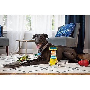 Carbona Oxy Powered Dog & Cat Stain & Odor Remover, 22-fl oz bottle