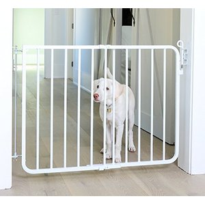 Cardinal Gates Auto-Lock Pet Gate, White