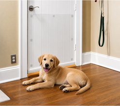 Cardinal Gates Door Shield Dog Scratch Protection, 2 count