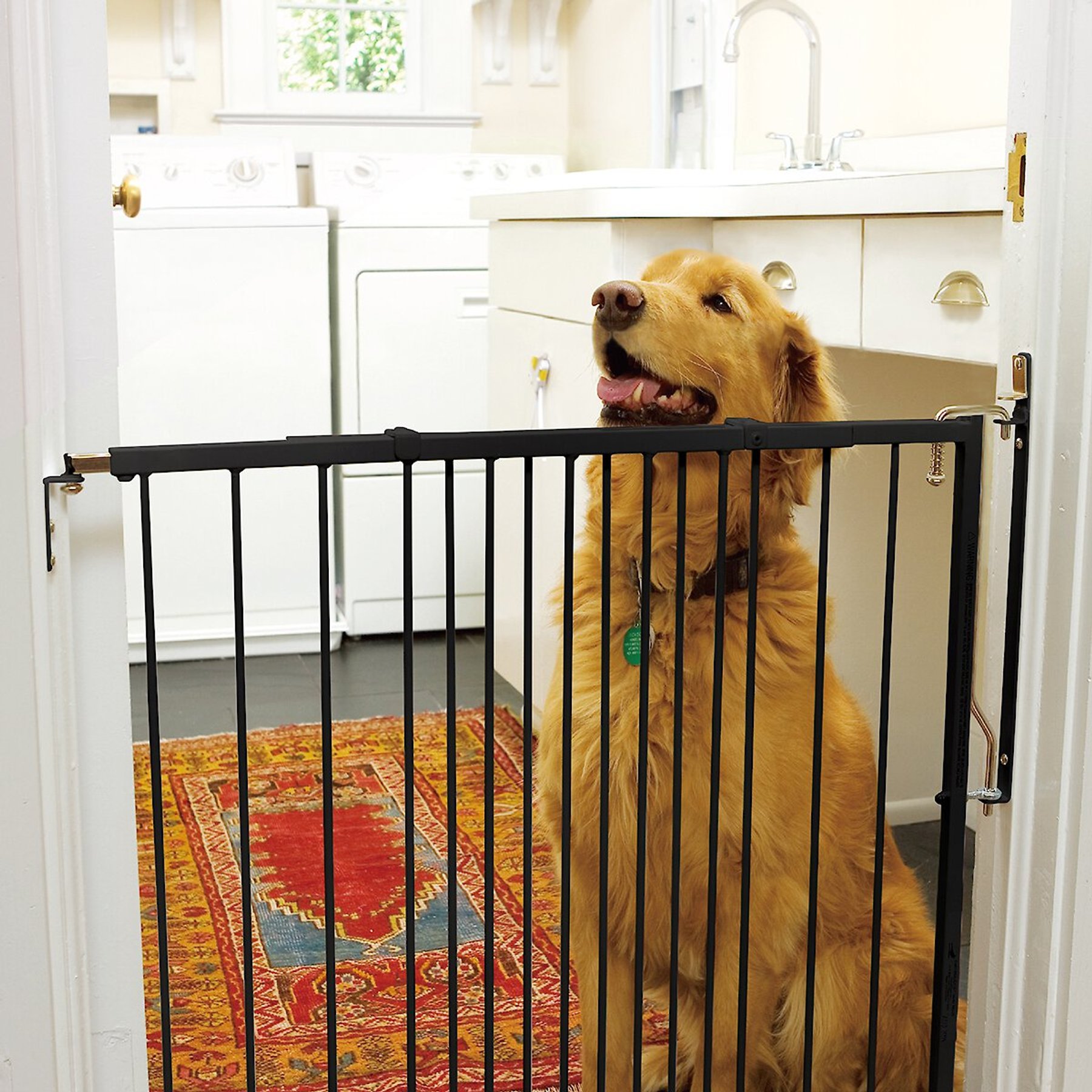 Cardinal Gates Duragate Dog Gate, Black