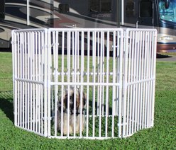 Cardinal Gates Portable Outdoor Dog Pen, White