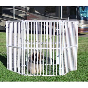 BingoPaw Acrylic Dog Whelping Box & Exercise Pen