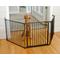 Show in main carousel: Cardinal Gates XpandaGate Dog Gate, Black slide 1 of 3