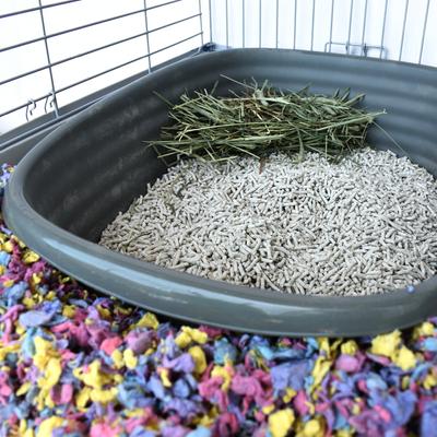 Show full view: Carefresh Rabbit & Ferret Litter, 10-lb bag slide 4 of 8