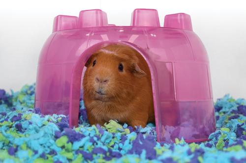 Show full view: Carefresh Sea Glass Small Animal Bedding, 50-L slide 4 of 7