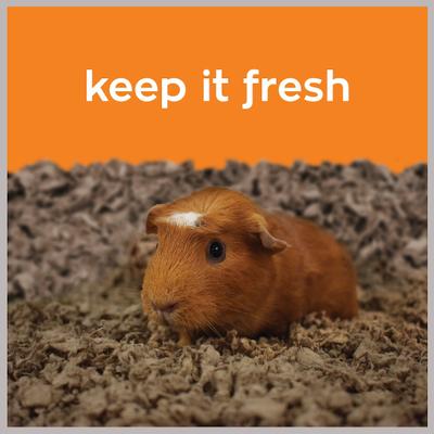 Show full view: Carefresh Small Animal Bedding, Natural, 30-L slide 7 of 10