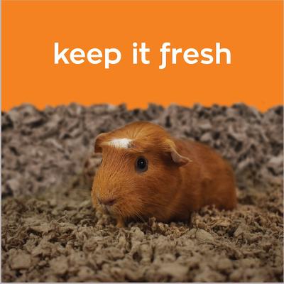 Carefresh Small Animal Bedding, Natural