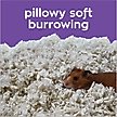 Show in main carousel: Carefresh Small Animal Bedding, White, 23-L slide 7 of 10