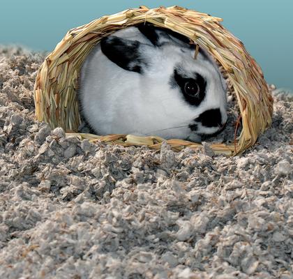 Show full view: Carefresh Small Animal Nesting, Natural, 30-L slide 4 of 8