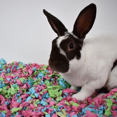 Show full view: Carefresh Special Edition Small Animal Bedding, Tutti Frutti, 10-L slide 7 of 8