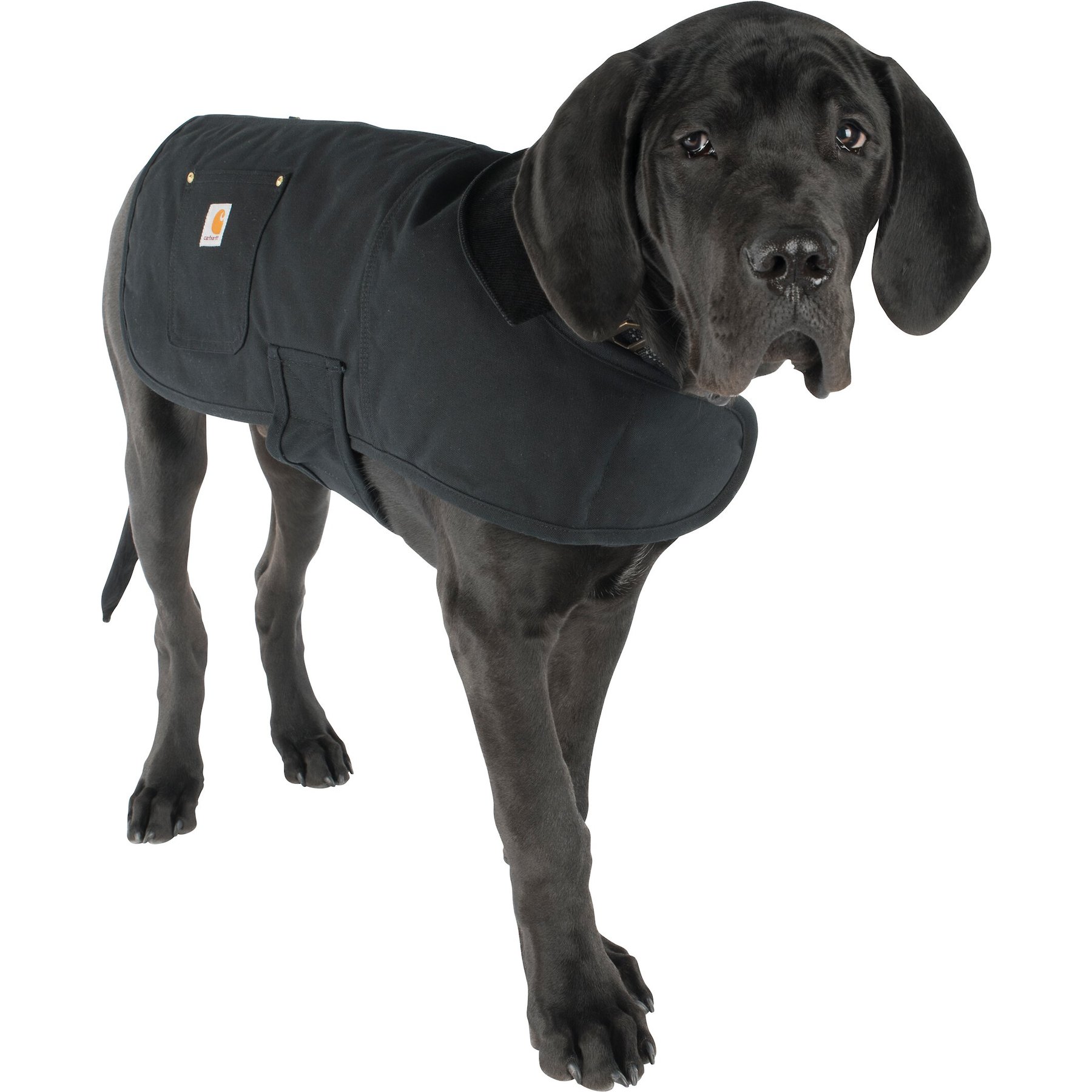 Carhartt Chore Insulated Dog Coat, Black, X-Large