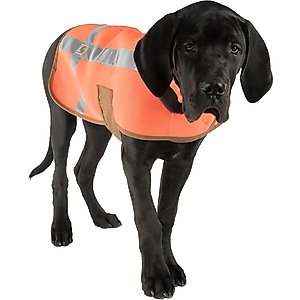 Carhartt Dog Safety Vest, Orange/Brown, Medium