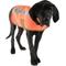 Show in main carousel: Carhartt Dog Safety Vest, Orange/Brown, Medium slide 1 of 5