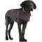 Show in main carousel: Carhartt Firm Duck Insulated Dog Chore Coat, Deep Wine, Medium slide 3 of 10