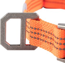Carhartt Tradesman Dog Collar, Hunter Orange, Large slide 2 of 6