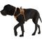 Show in main carousel: Carhartt Training Dog Harness, Brown, Small slide 8 of 12