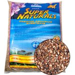 Best Freshwater Aquarium Decorations
