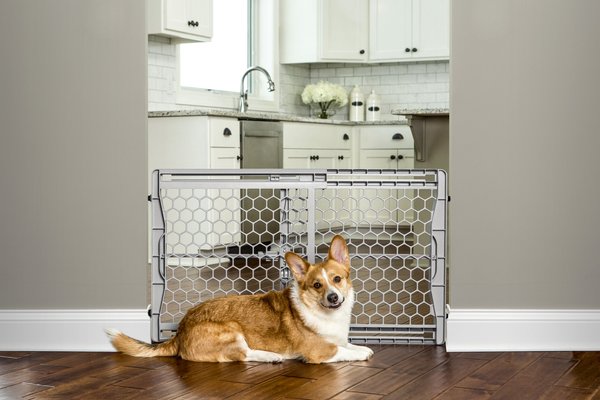 Carlson Pet Products 23-in Expandable Dog Gate, Gray, Large