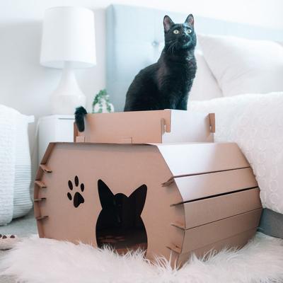 Show full view: Carlson Pet Products Cat Camper & Scratcher slide 2 of 7