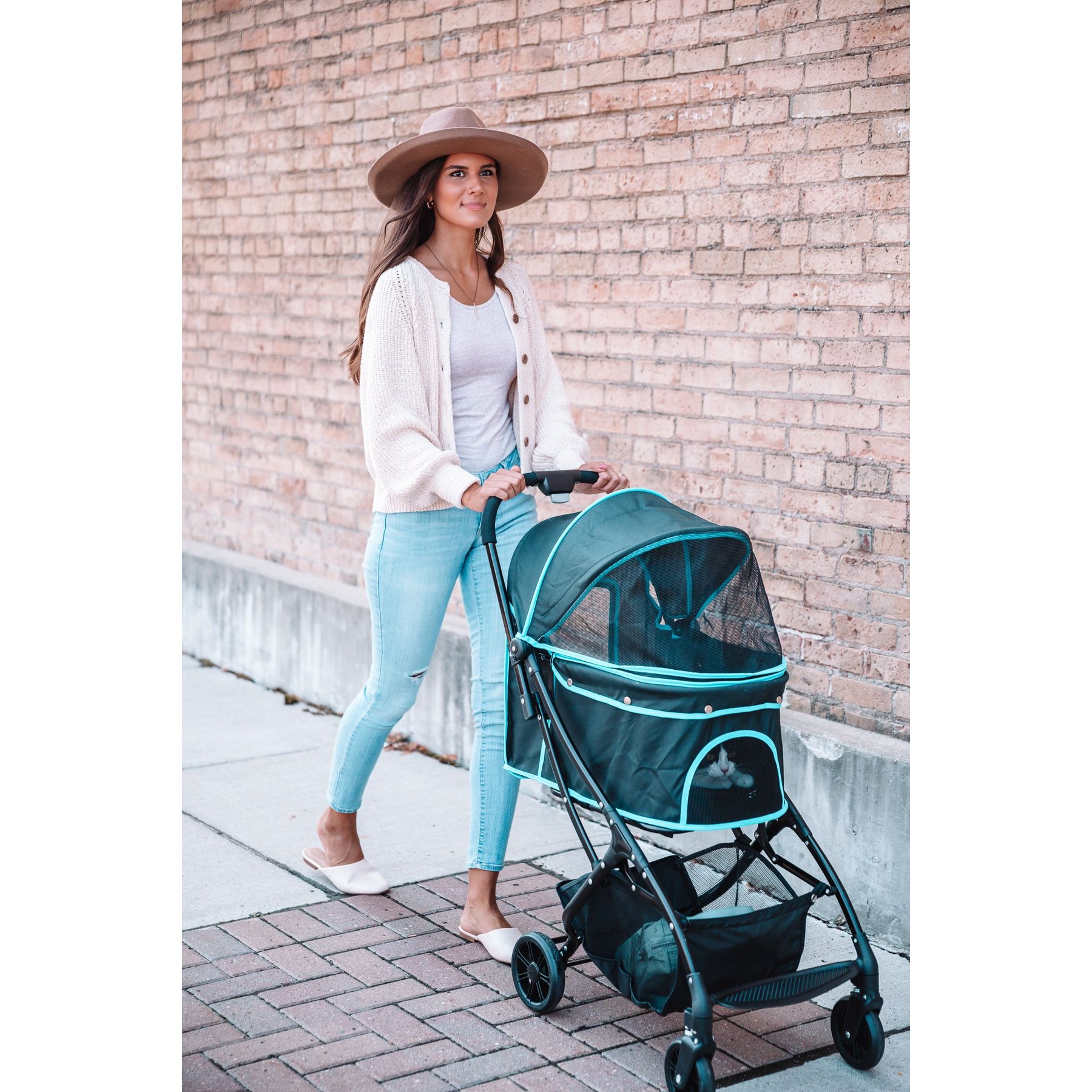 Carlson Pet Products Deluxe Dog Stroller, Black, Large