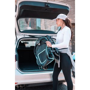 Carlson Pet Products Deluxe Dog Stroller, Black, Large, Collapsable, Travel