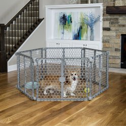 Carlson Pet Products Dog Gate, Gray, Large slide 2 of 4