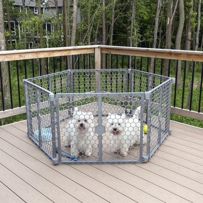 Show full view: Carlson Pet Products Dog Gate, Gray, Large slide 4 of 5