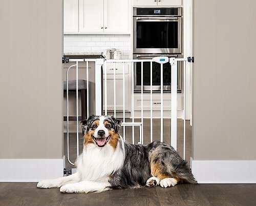 Carlson Pet Products Child Gate With Pet Door Baby Gate Pet Door