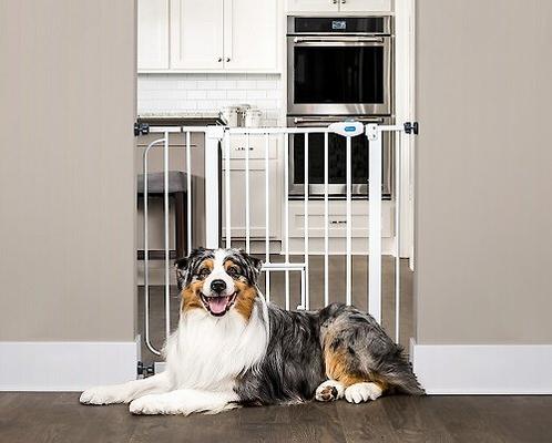 Show full view: Carlson Pet Products Extra Wide Walk-Thru Dog Gate with Pet Door slide 1 of 4