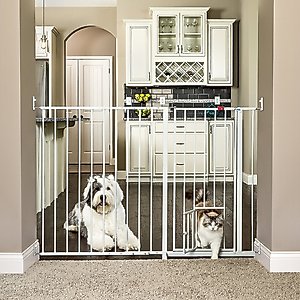 Carlson Pet Products Maxi Extra Tall Walk-Thru Dog Gate with Pet Door