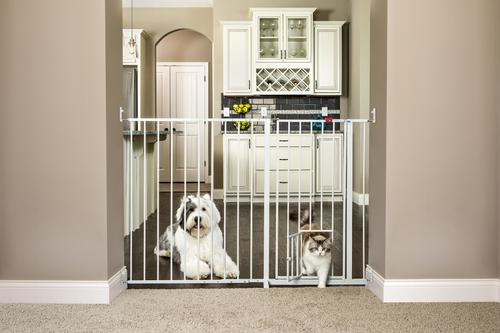 Show full view: Carlson Pet Products Maxi Walk-Thru Dog Gate with Small Pet Door slide 4 of 6
