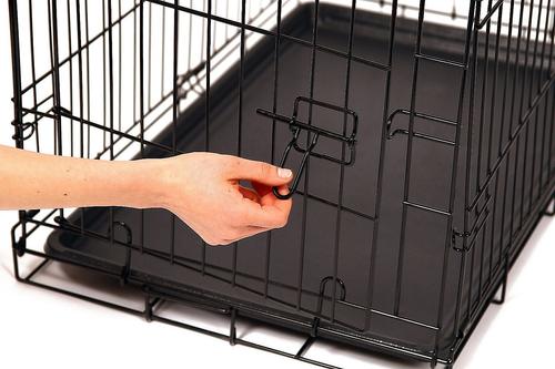 Show full view: Carlson Pet Products Secure & Compact Single Door Collapsible Wire Dog Crate, Small slide 9 of 12