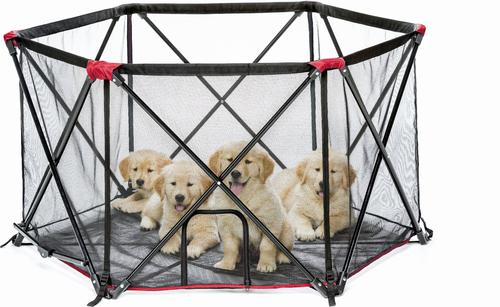 Show full view: Carlson Pet Products Six Panel Portable Dog Pen, Red, Large slide 3 of 5