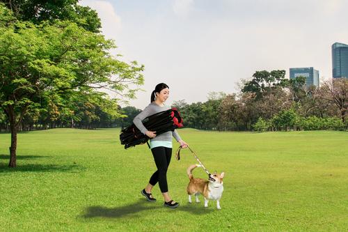Show full view: Carlson Pet Products Six Panel Portable Dog Pen, Red, Large slide 4 of 5