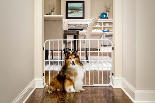 Show full view: Carlson Pet Products Tuffy Expandable Dog Gate with Pet Door slide 1 of 6