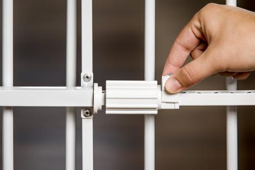 Show full view: Carlson Pet Products Tuffy Expandable Dog Gate with Pet Door slide 4 of 6