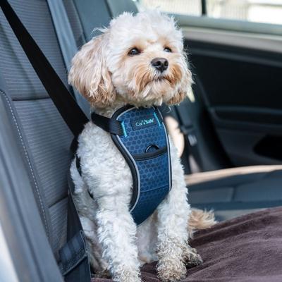 Show full view: CarSafe Crash Tested Back Clip Dog Harness, Blue, X-Small slide 5 of 8
