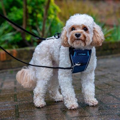 Show full view: CarSafe Crash Tested Back Clip Dog Harness, Blue, X-Small slide 6 of 8
