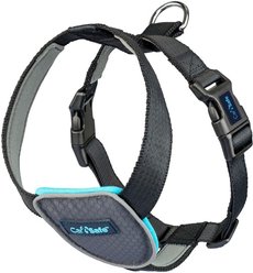 CarSafe Travel Dog Harness, Blue, Large